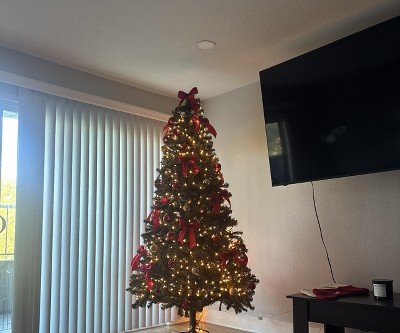 Guest review image 1 of 1, zoom in