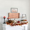 SEVOBAL Party Decorations and Accessories Set of 4 Velvety Pumpkins 2 Inch for Fall and Thanksgiving Decor, White, 6.1"*2.95"*2.95" - 4 of 4