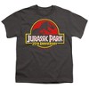 Boys' Short Sleeve Jurassic Park 25th Anniversary Logo T-Shirt - 2 of 4