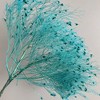 Alilang Decorative Dried Ming Fern Stems for Elegant Home Decoration and Creative Floral Arrangements, 19.5 Inches - 2 of 3
