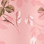 pink white