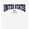 American United States Of America Flag Adult Long Sleeve Hoodie - 2 of 2