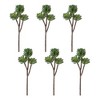 Succulent Plant Pick (Set of 6) - 3 of 3