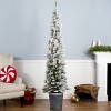 National Tree Company Pre-Lit Pencil Snowy Methow Hinged Artificial Christmas Entrance Tree Warm White LED Lights - 2 of 3