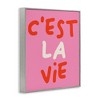 Stupell Industries C'est La Vie on Pink Black Framed Giclee Art - 3 of 4