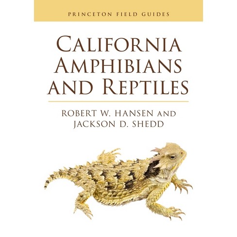 California Amphibians And Reptiles - (princeton Field Guides) By Robert ...