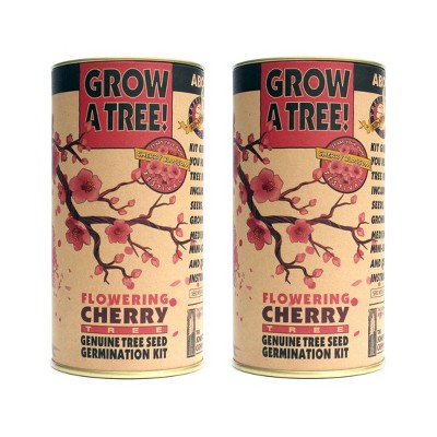 2pk Flowering Cherry Blossom Seed Grow Kit - The Jonsteen Company