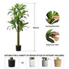 Artificial Dracaena Tree for Home Decor - 2 of 4