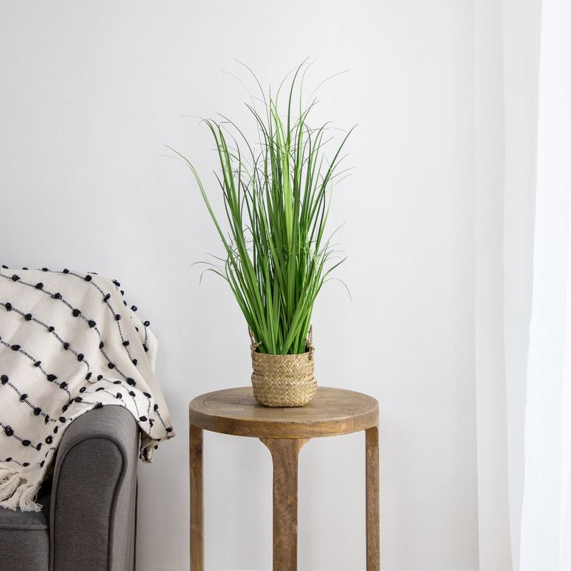 Northlight 28" Artificial Onion Grass Plant in Basket, 2 of 6