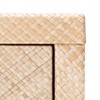 Apis Raffia Console Table - CNS6603A - Beige - Safavieh - 2 of 4