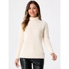 Allegra K Women's Long Sleeve Ribbed Stretch Winter Pullover Outwear High Neck Sweater - 4 of 4