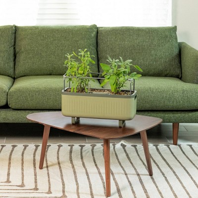 Sage Green Self-Watering Herb Planter Box with Trellis