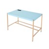 RISOKEYS 42 Inch Writing Desk,Home Office Workstation & Dressing Table with Gold Metal Base & High-Gloss Finish for Professionals,Students - 4 of 4