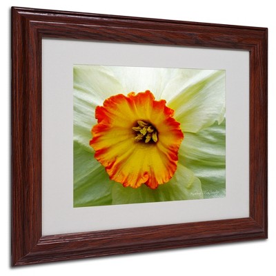 Trademark Fine Art - Kathie McCurdy 'Furnace Run Daffodil Large' Matted Framed