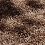 (usa) tie-dye brown