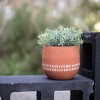 White Ticking Stripe Terracotta Planter - Foreside Home & Garden - 4 of 4