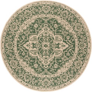 Beach House BHS137 Power Loomed Indoor/Outdoor Rugs - Safavieh - 1 of 3