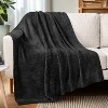PAVILIA Plush Knit Throw Blanket for Couch Sofa Bed, Super Soft Fluffy Fuzzy Lightweight Warm Cozy All Season - 3 of 4