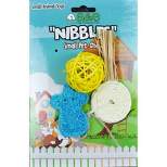 AE Cage Company Nibbles Lollipop and Assorted Loofah Chew Toys - 3 count
