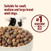 Nutrish Whole Health Blend Real Beef, Pea & Brown Rice Recipe Dry Dog Food - 4 of 4