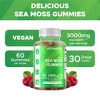Irish Sea Moss - 60 Vegan Gummies - 4 of 4