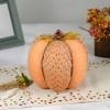 Northlight Autumn Harvest Textured Thanksgiving Pumpkin - 8.5" - Orange - 2 of 4