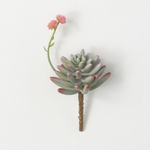 Sullivans Artificial Succulent With Flower Bloom 9"H Pink - 1 of 3
