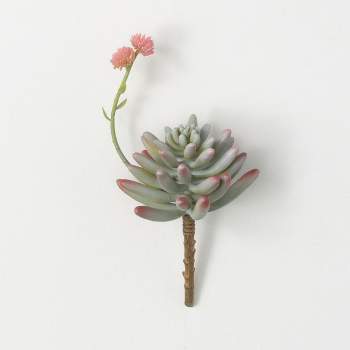 Sullivans Artificial Succulent With Flower Bloom 9"H Pink