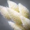 Sullivans Artificial Alabaster Cream Cone Stem 25"H Off-White - 2 of 4