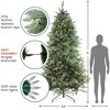 Northlight 9' Pre-Lit Artificial Christmas Tree Washington Frasier Full - Clear Lights - 3 of 4