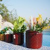 KTMBDW Plant Pots, Ceramic Planters with Drainage Holes,Nursery Planting Pot for Indoor Out Door Plants - 2 of 4