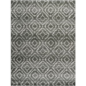 Adirondack ADR131 Non-Shedding Power Loomed Indoor Rugs - Safavieh - 1 of 4