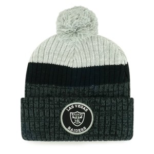 NFL Las Vegas Raiders Freezer Knit Beanie: Team Logo Sports Apparel - 1 of 2