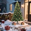 TackView Artificial Christmas Tree with Remote Control, Holiday Tree with Christmas Balls, Artificial Pine Lighted Holiday with Metal Stand - 3 of 4