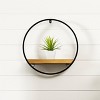 Wood Circle Shelf in Metal Frame – 17.5"H – Brown and Black Wall Decor for Indoor Display By Melrose - 2 of 3