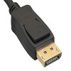 SANOXY 6.3”/ 0.5ft Displayport Male to DVI-D Female Adapter Cable with Latches - 3 of 3