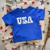 The Juniper Shop USA Distressed Stars Toddler Short Sleeve Tee - 3 of 4