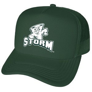 Lake Erie College Primary Logo Foam Trucker Cap Hunter Green Os - 1 of 4