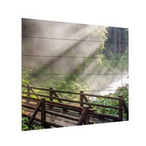 Trademark Fine Art -Pierre Leclerc 'Forest Sunlight' Wood Slat Art - 1 of 4