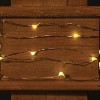 Sullivans 20 LED Wire Light Strand With Timer 72"L White - 3 of 3