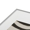 Megan Galante Painted Zebra Metal Framed Art Print - Deny Designs - 3 of 4