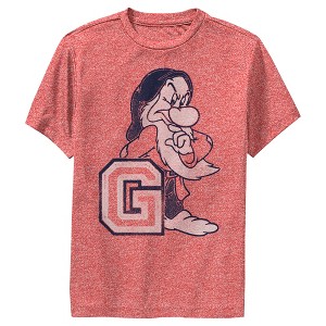 Boy's Snow White and the Seven Dwarves Athletic Grumpy Performance Tee - 1 of 4
