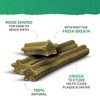 Caledon Farms Plaque Busters All Ages Dental and Hard Fresh Dog Treat Chews with Sweet Potato Flavor - 7oz - 2 of 4