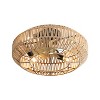 Sofucor 20'' Caged Ceiling Fan with Light and Remote Enclosed Rattan Caged Ceiling Fans Black - 2 of 4
