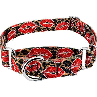 Country Brook Petz Martingale Dog Collar - Affection Collection