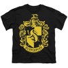 Boys' Short Sleeve Harry Potter Hufflepuff Crest T-Shirt - 2 of 4