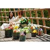 SpassWay 10" Dia Outdoor Indoor Ceramic Planter Pot Decorative Planter with Drainage Hole Patio Flower Pot - 4 of 4