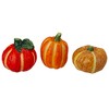 Northlight 6pc Fall Harvest Ceramic Pumpkins Decoration Set - 3 of 4