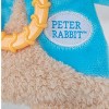 Beatrix Potter Peter Rabbit Teether 10 Inches Plush Sensory Toy - 2 of 3