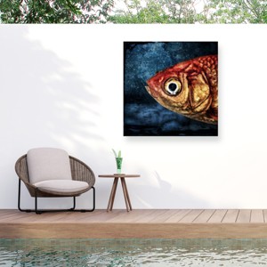 Trademark Fine Art - Piet Flour Isidor The Goldfish Matted Framed Art - 1 of 4